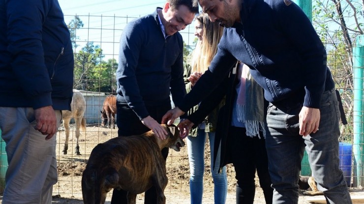 El Intendente Watson visitó la Clínica Veterinaria Municipal de Berazategui